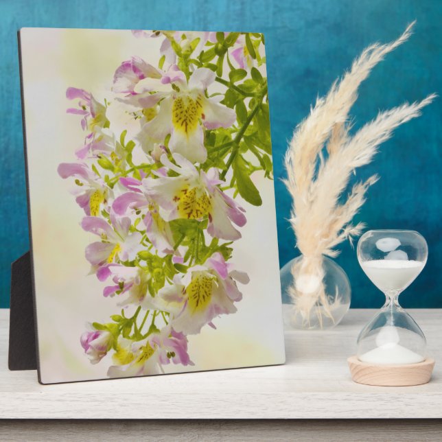 Placa Expositora Flores de mariposa (Lado)