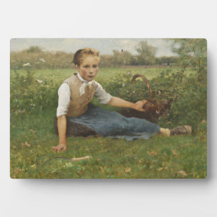 Placa Expositora Flores de picado   1882