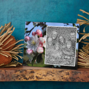 Placa Expositora Flores de primavera alegres agregan tu propia foto