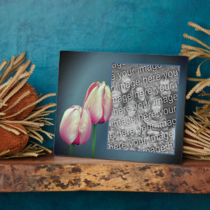 Placa Expositora Flores De Tulipanes Rosa Añaden Su Propia Foto