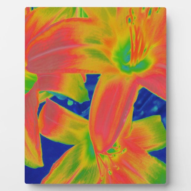 Placa Expositora flores fluorescentes (Frente)