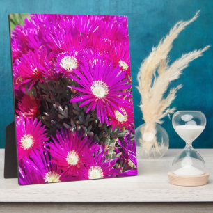 Placa Expositora Flores moradas