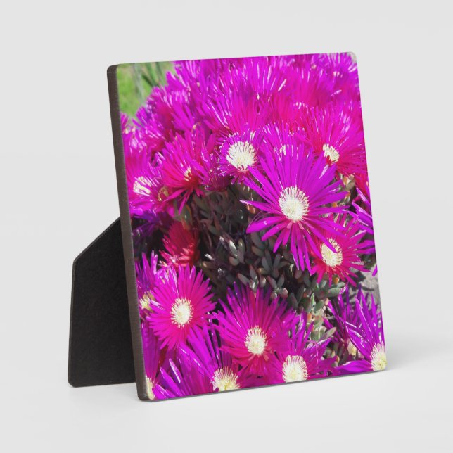 Placa Expositora Flores moradas (Anverso)