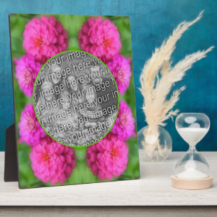 Placa Expositora Flores Rosa De Zinnia Crean Tu Propia Foto