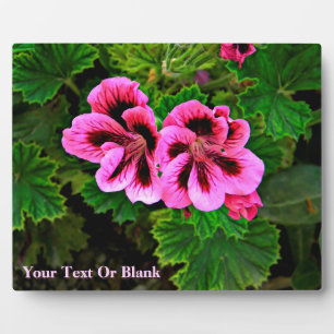 Placa Expositora Flores rosas 1