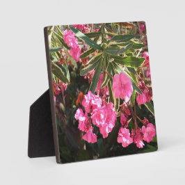 Placa Expositora Flores rosas en el árbol