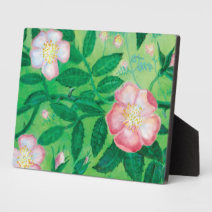 Placa Expositora Flores rosas silvestres