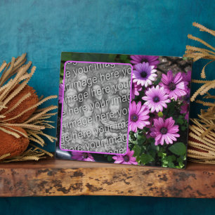 Placa Expositora Flores violetas de margarita africanas agregan tu