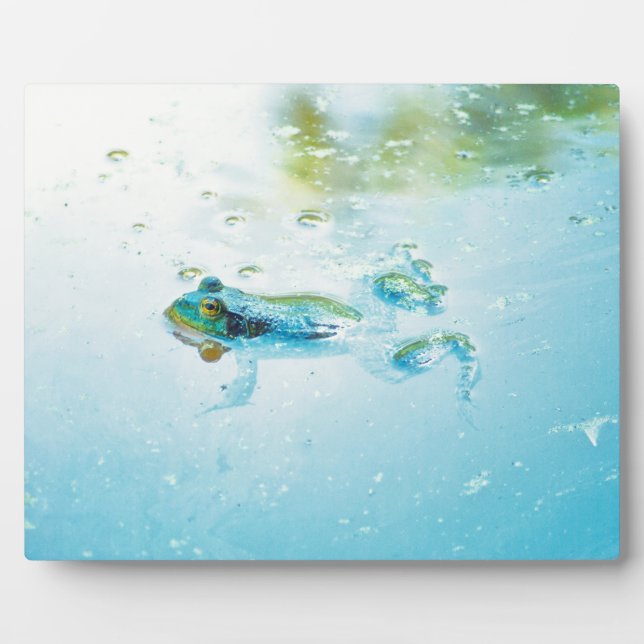 Placa Expositora Flotante (Frente)