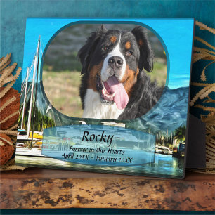 Placa Expositora Forever in Our Hearts Marina Vallarta 0946