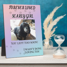 Placa Expositora Forever Loved Gradient Pet Memorial Tribute