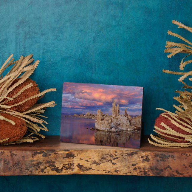 Placa Expositora Formaciones Tufa en el lago Mono (Lado)