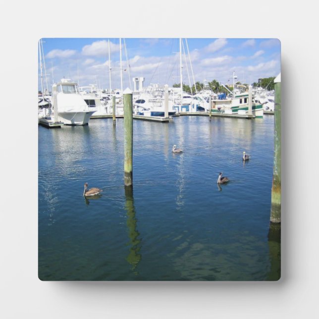 Placa Expositora Fort Lauderdale, Florida (Frente)