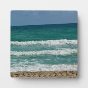Placa Expositora Fort Lauderdale, Florida