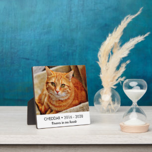 Placa Expositora Foto conmemorativa del gato para siempre en nuestr