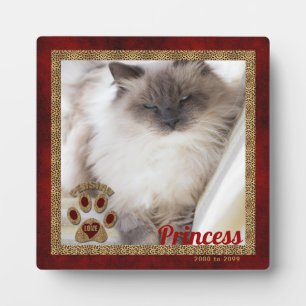 Placa Expositora Foto conmemorativa del gato persa