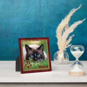 Placa Expositora Foto conmemorativa del gato siamés