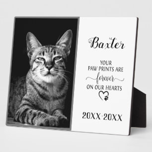 Placa Expositora Foto conmemorativa del Mascota del personalizable