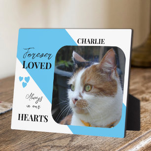 Placa Expositora Foto de gato Recuerdo de simpatía Mascota Memorial