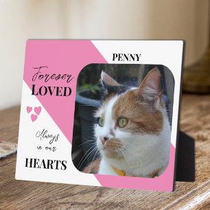 Placa Expositora Foto de gato Recuerdo de simpatía Mascota Memorial