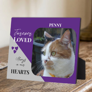 Placa Expositora Foto de gato Recuerdo de simpatía Mascota Memorial
