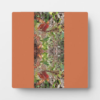 Placa Expositora Foto de hojas otoño