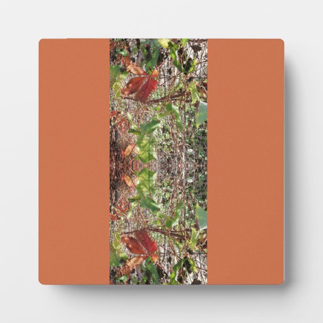 Placa Expositora Foto de hojas otoño (Frente)