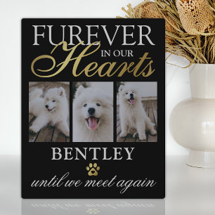 Placa Expositora Foto de Keepsake en memoria de perros mascotas