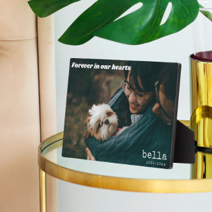 Placa Expositora Foto de mascota memorial moderna