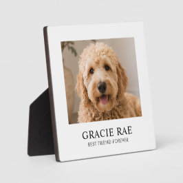 Placa Expositora Foto de mascota moderna simple personalizada