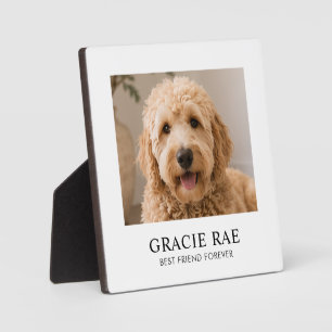 Placa Expositora Foto de mascota moderna simple personalizada