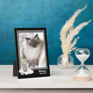 Placa Expositora Foto de memorial de gato plateado atigrado 5x7