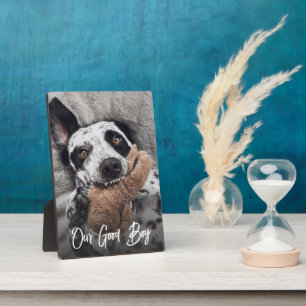 Placa Expositora Foto de nuestro buen chico Personalizado perro