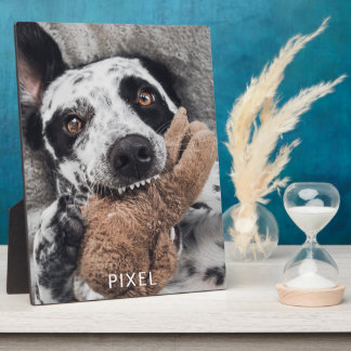 Placa Expositora Foto de perro personalizado