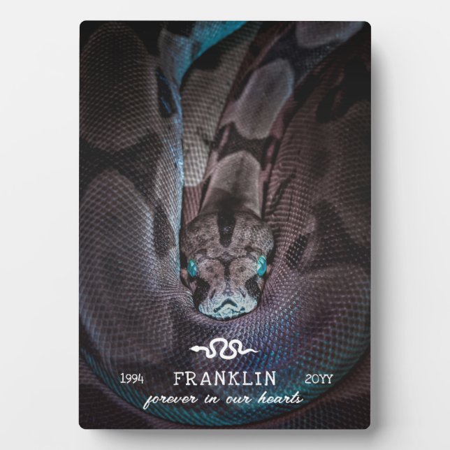 Placa Expositora Foto de serpiente mascota para siempre en nuestros (Frente)