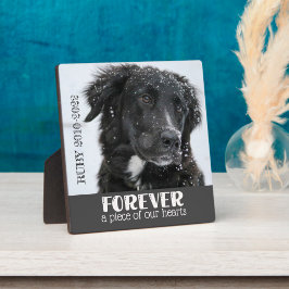 Placa Expositora Foto de simpatía conmemorativa para mascotas
