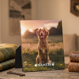 Placa Expositora Foto personalizada con el nombre de tu perro