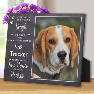 Placa Expositora Foto Personalizada Mascota Perro Beagle Memorial