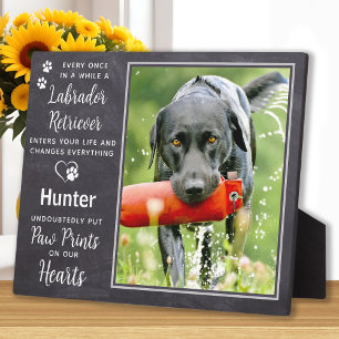 Placa Expositora Foto Personalizada Mascota Perro Labrador Memorial