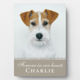 Placa Expositora Foto Personalizada Memorial Amante de los Perros C