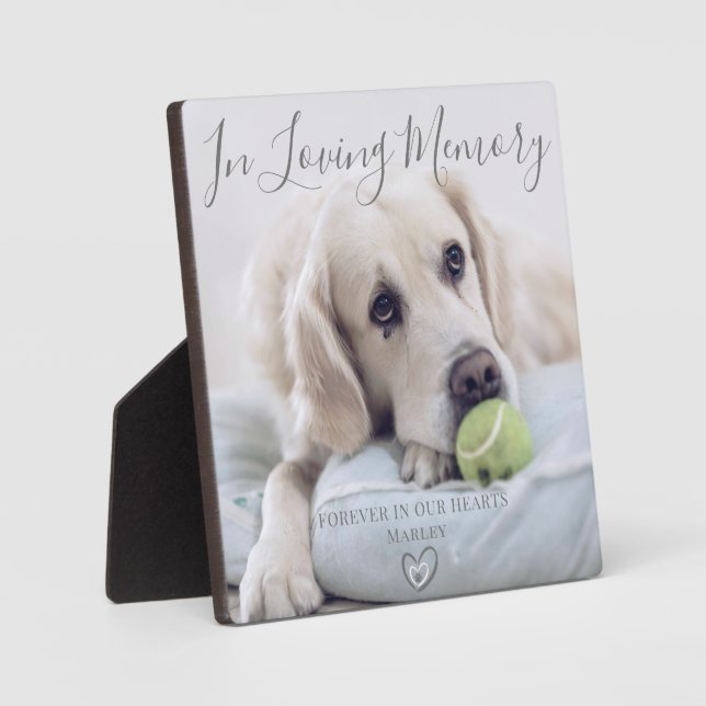 Placa Expositora Foto Personalizada Memorial Perro Mascota (Anverso)