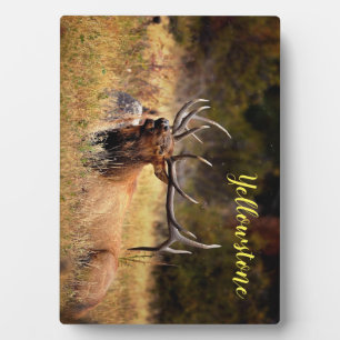 Placa Expositora Foto Plaque-Yellowstone Elk