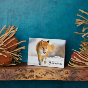 Placa Expositora Foto Plaque-Yellowstone Red Fox Plaque