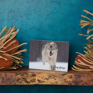 Placa Expositora Foto Plaque-Yellowstone Wolf Plaque