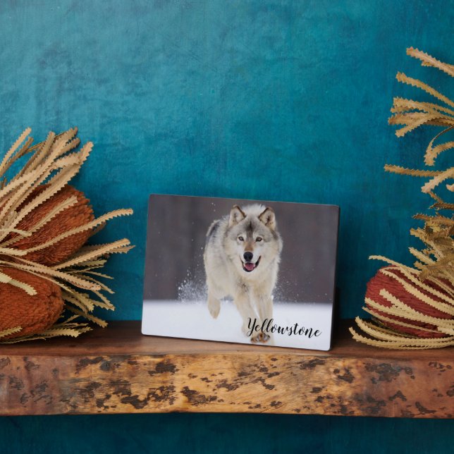 Placa Expositora Foto Plaque-Yellowstone Wolf Plaque (Lado)