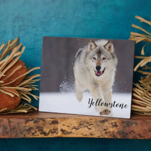 Placa Expositora Foto Plaque-Yellowstone Wolf Plaque