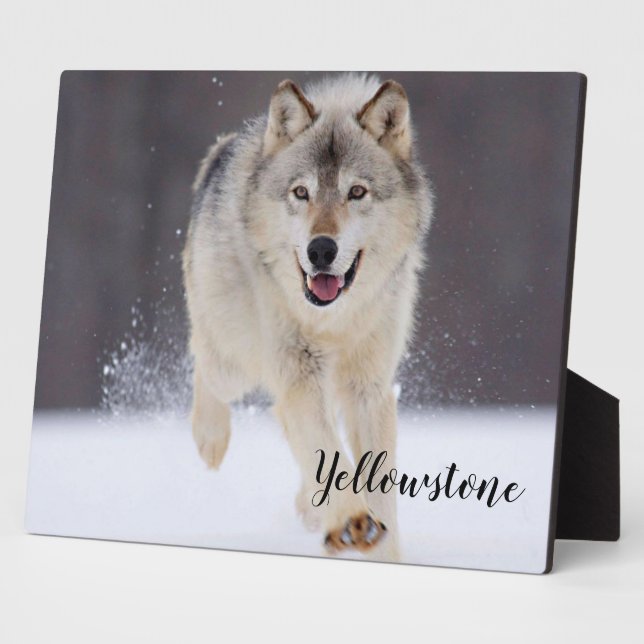 Placa Expositora Foto Plaque-Yellowstone Wolf Plaque (Lado)