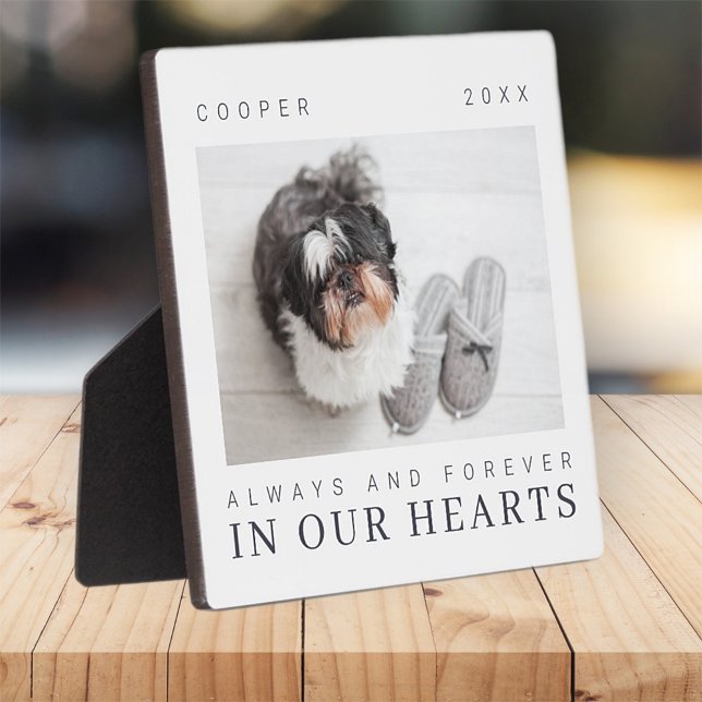 Placa Expositora Foto simple y chic de recuerdo de mascota (Subido por el creador)