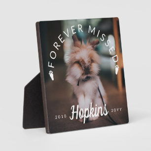 Placa Expositora Fotografía de conejo perdida de texto curvado de g