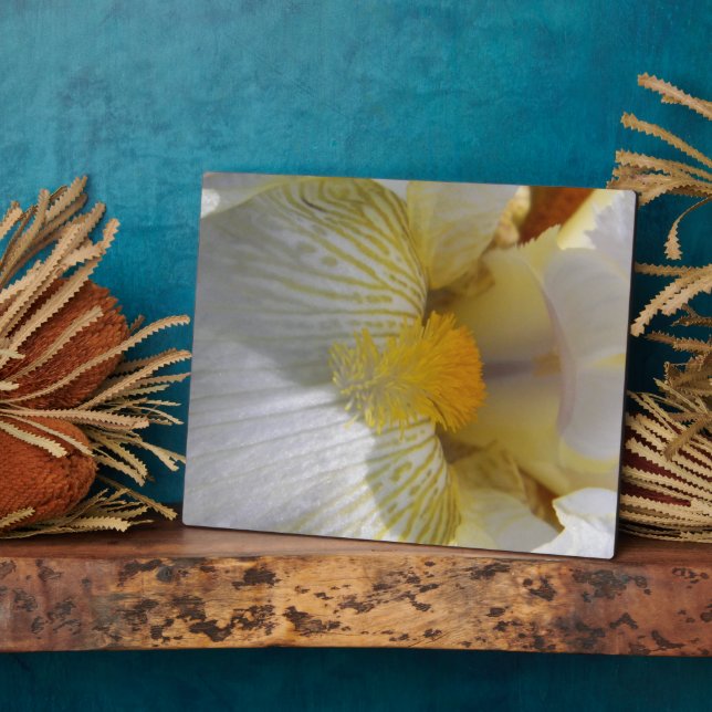 Placa Expositora Fotografía de Flor Iris (Lado)